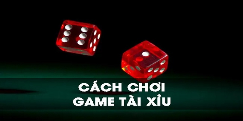 Hướng dẫn cách chơi tài xỉu dễ hiểu cho newbie