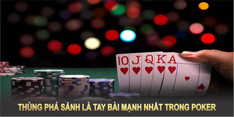 Straight Flush là tay bài hiếm hoi và mạnh nhất trong Poker